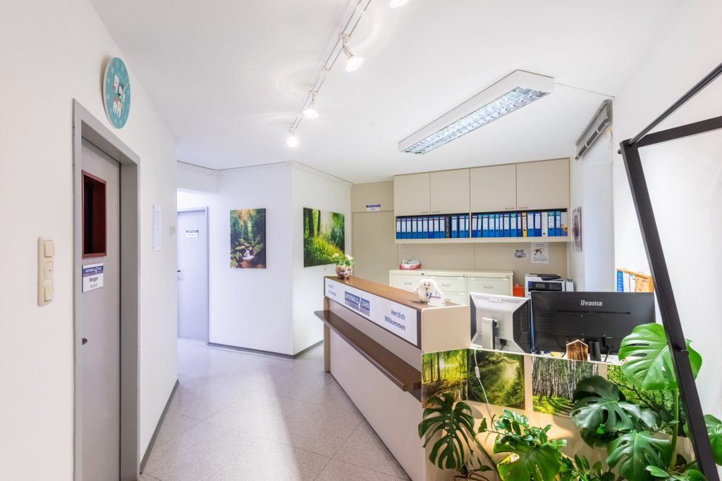 Empfangsbereich Praxis Mauth