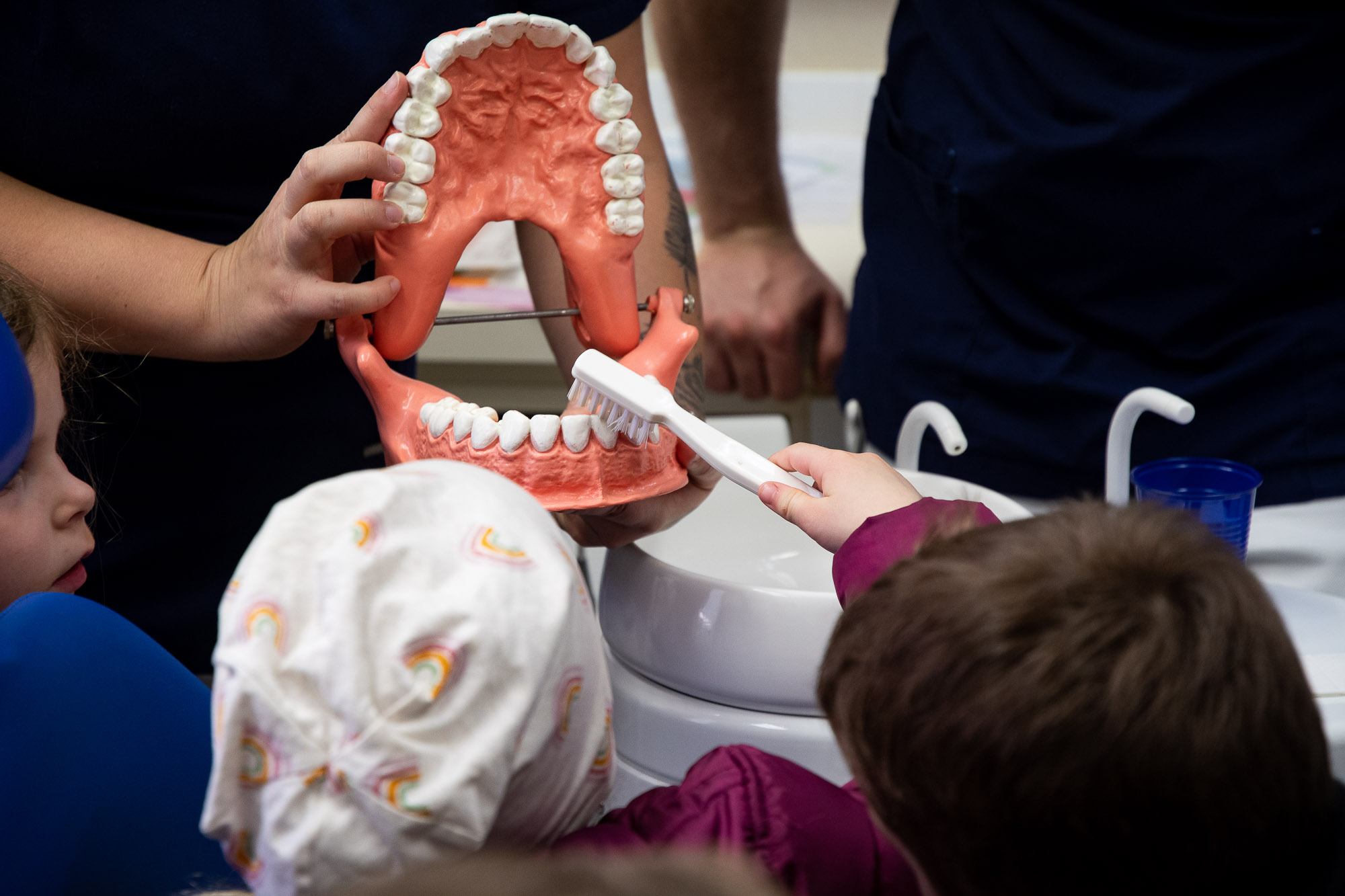Kinder üben das Zähneputzen anhand eines Zahnmodells